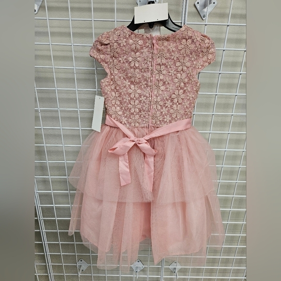 BISCOTTI Floral and Frilled Girls Dress BRAND NEW - Picture 3 of 7